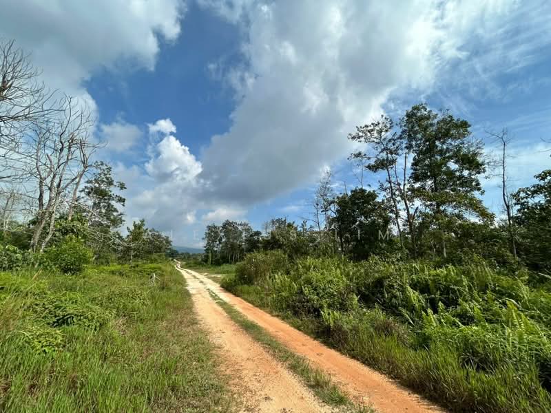 Agricultural Land for Sale in Kota Tinggi (Johor) - Alexius Lim - Exterior - PropertyGuru.com.my