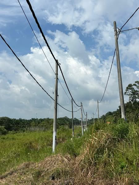 Agricultural Land for Sale in Kota Tinggi (Johor) - Alexius Lim - PropertyGuru.com.my