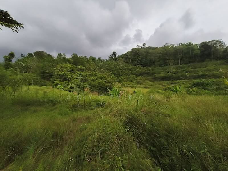 Agricultural Land for Sale in Bentong (Pahang) - Joyce Kok - Exterior - PropertyGuru.com.my