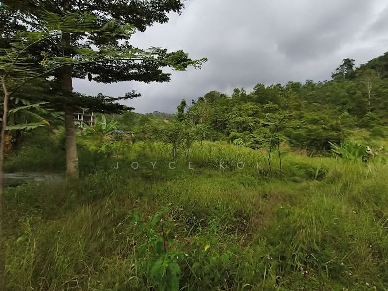 Agricultural Land for Sale in Bentong (Pahang) - Joyce Kok - Exterior - PropertyGuru.com.my