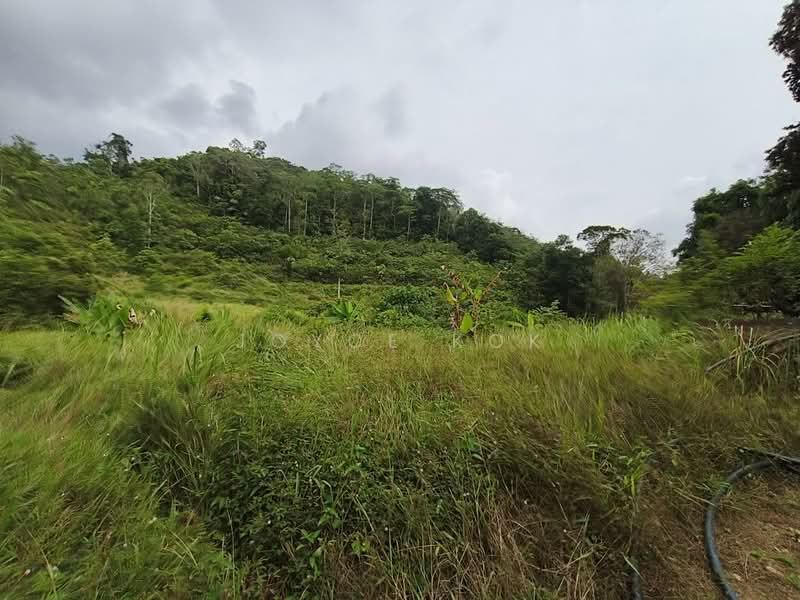 Agricultural Land for Sale in Bentong (Pahang) - Joyce Kok - Exterior - PropertyGuru.com.my