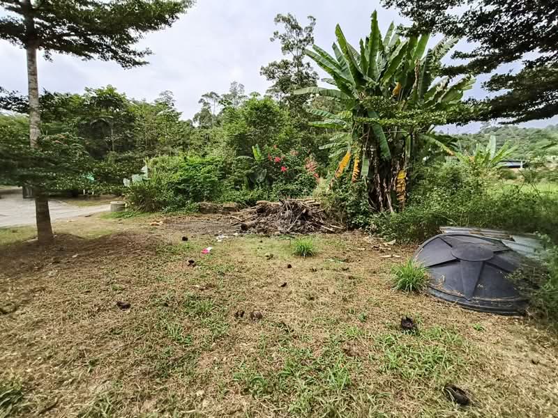 Agricultural Land for Sale in Bentong (Pahang) - Joyce Kok - Exterior - PropertyGuru.com.my
