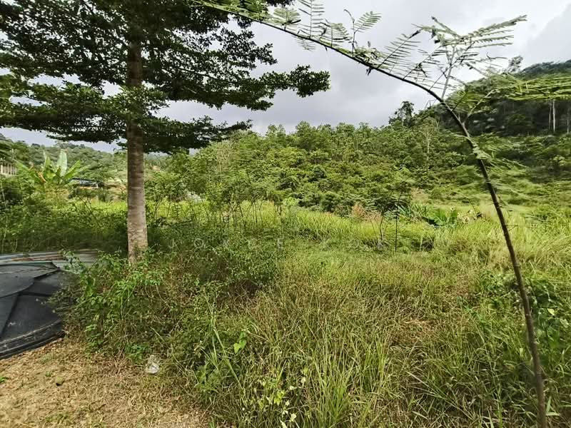Agricultural Land for Sale in Bentong (Pahang) - Joyce Kok - Garden - PropertyGuru.com.my
