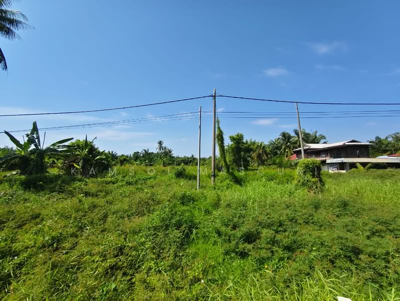 Agricultural Land for Sale in Tanjung Karang (Selangor) - Kamsol Mascuri - Exterior - PropertyGuru.com.my