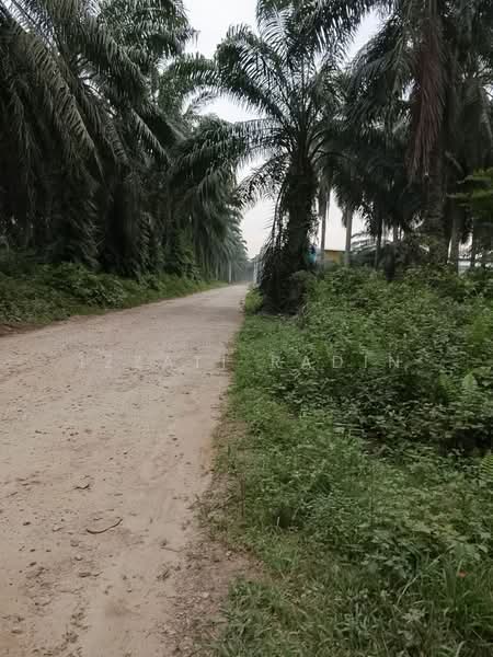 Agricultural Land for Sale in Kuala Selangor (Selangor) - Izzati Radin - Road access - PropertyGuru.com.my
