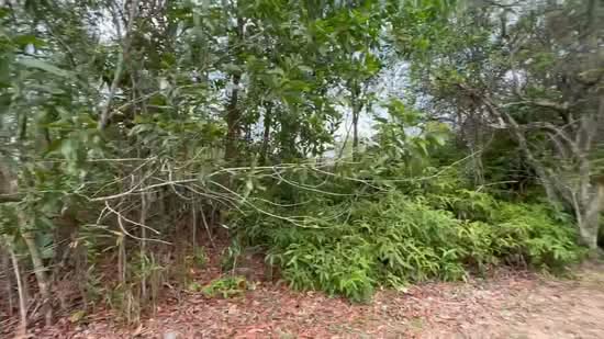 Residential Land for Sale in Bandar Tasik Kesuma (Beranang) - Najibah Sahari - PropertyGuru.com.my