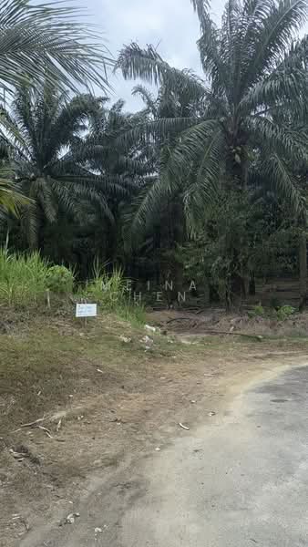 Oil palm tree kulai Bandar indah Pura untuk Untuk Dijual - RM 21,562,200, Mac 2026 - PropertyGuru.com.my