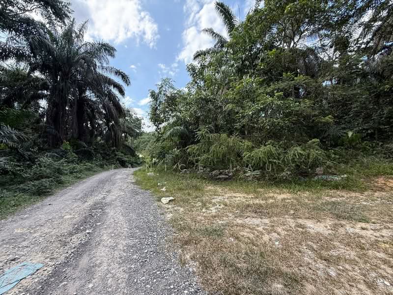 Agricultural Land for Sale in Kampung Sungai Lalang (Semenyih) - Janice Lau - Exterior - PropertyGuru.com.my