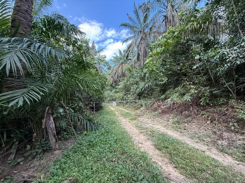 Agricultural Land for Sale in Kampung Sungai Lalang (Semenyih) - Janice Lau - Exterior - PropertyGuru.com.my