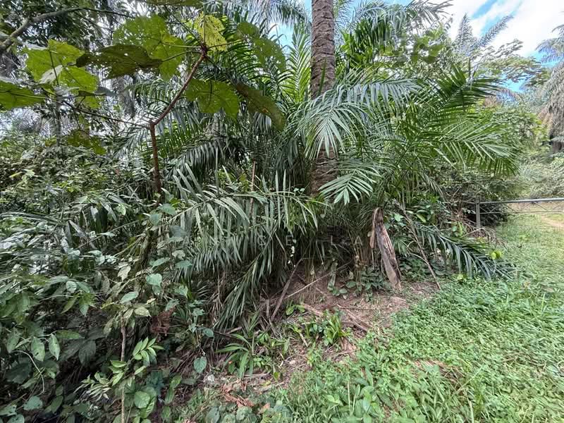 Agricultural Land for Sale in Kampung Sungai Lalang (Semenyih) - Janice Lau - Exterior - PropertyGuru.com.my
