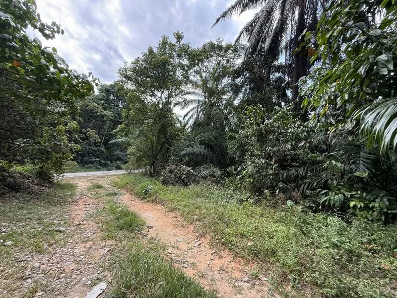 Agricultural Land for Sale in Kampung Sungai Lalang (Semenyih) - Janice Lau - Exterior - PropertyGuru.com.my
