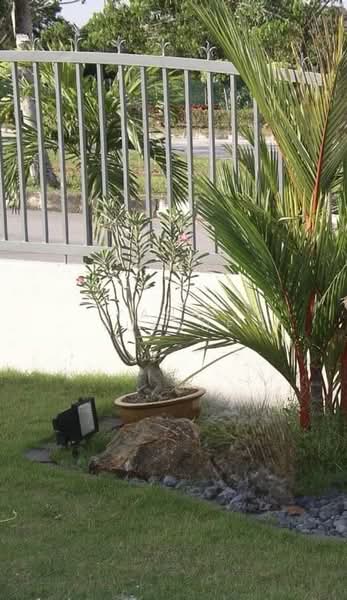 2-storey Terraced House for Sale in Bandar Kinrara (Selangor) - Yanie Yussuf - Exterior - PropertyGuru.com.my