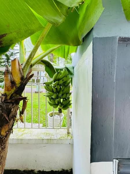 Link Bungalow for Rent in Horizon Hills (Iskandar Puteri (Nusajaya)) - Claire Lai - Exterior - PropertyGuru.com.my