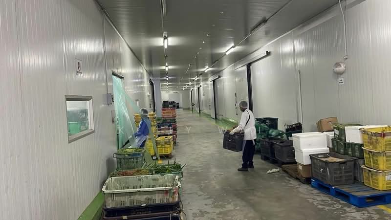 Detached Factory for Sale in Machap (Kluang) - Kelly Wai - Corridor - PropertyGuru.com.my