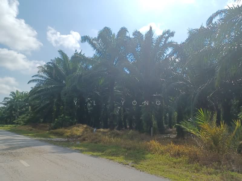 Tanah Perindustrian untuk Dijual di Jenjarom (Selangor) - Y.L. Yong - PropertyGuru.com.my