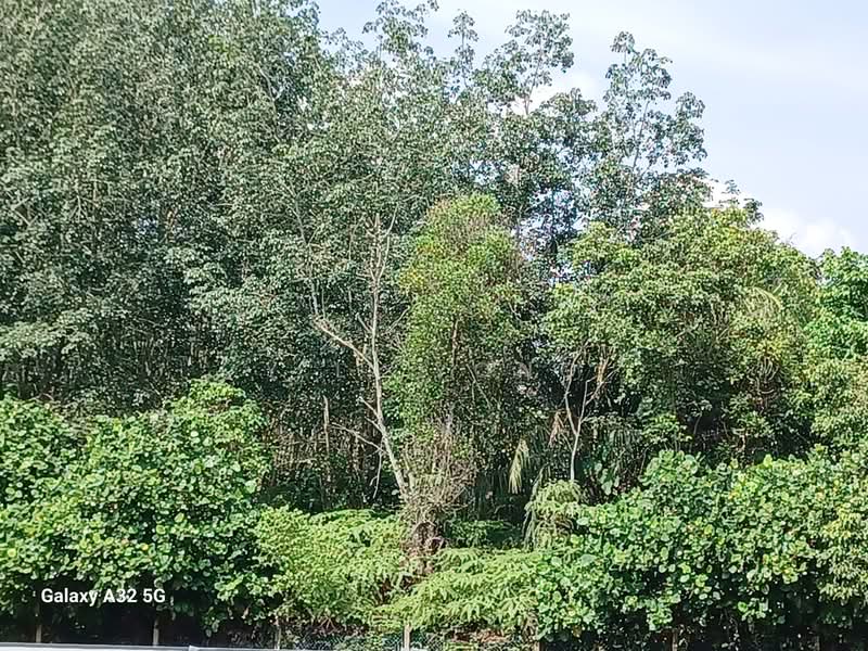 Tanah Perindustrian untuk Dijual di Jenjarom (Selangor) - Y.L. Yong - PropertyGuru.com.my