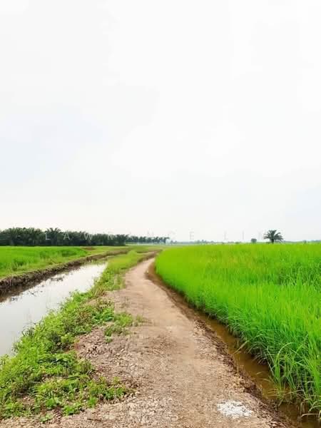 Other Property for Sale in Bukit Rambai (Melaka) - Lawrance Lim - Exterior - PropertyGuru.com.my