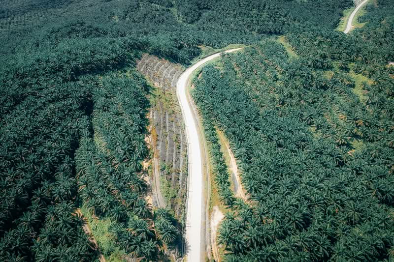 Agricultural Land for Sale in Rembau (Negeri Sembilan) - David Cheok - PropertyGuru.com.my