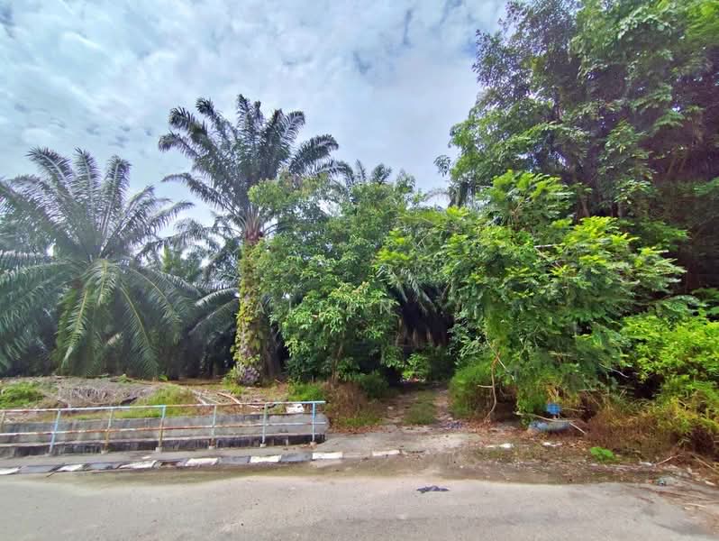 Agricultural Land for Sale in Sitiawan (Perak) - Allen . - Exterior - PropertyGuru.com.my