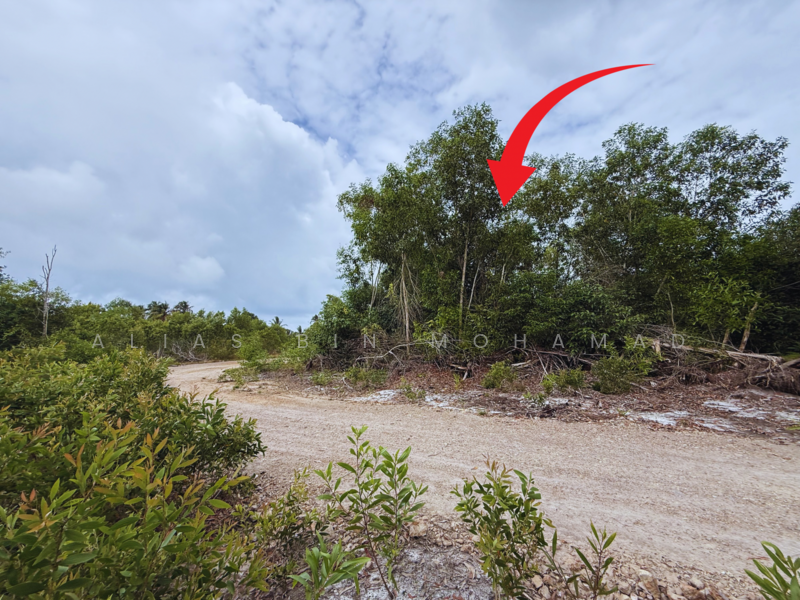 Residential Land for Sale in Merang (Terengganu) - Alias Bin Mohamad - Exterior - PropertyGuru.com.my