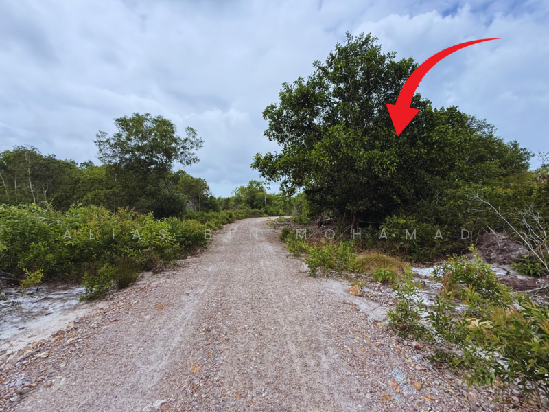 Residential Land for Sale in Merang (Terengganu) - Alias Bin Mohamad - PropertyGuru.com.my