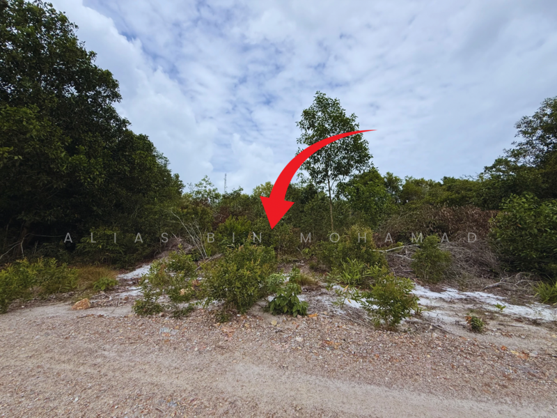 Residential Land for Sale in Merang (Terengganu) - Alias Bin Mohamad - Exterior - PropertyGuru.com.my