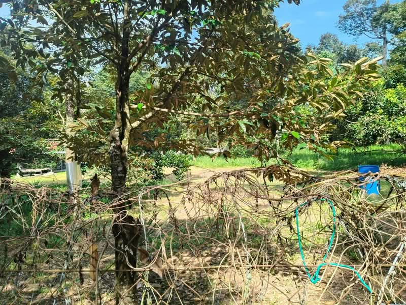 Agricultural Land for Sale in Lenggeng (Negeri Sembilan) - Halim HP - Garden - PropertyGuru.com.my