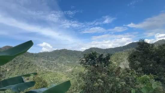 Agricultural Land for Sale in Raub (Pahang) - Toh HC - PropertyGuru.com.my