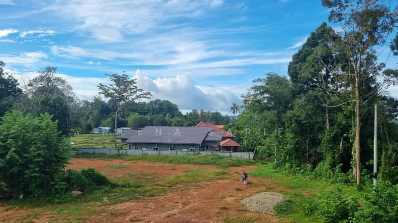 Agricultural Land for Sale in Kedawang (Kedah) - Reena Sarif - Exterior - PropertyGuru.com.my