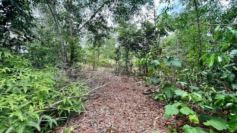 Residential Land for Sale in Bandar Tasik Kesuma (Beranang) - Norafian SMH - Garden - PropertyGuru.com.my