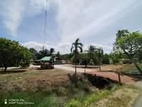 For Sale - Ladang Kelapa Jalan Parit Silang, Sg Rambai, Melaka