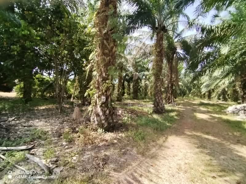 Agricultural Land for Sale in Sungai Rambai (Melaka) - Abdul Razak - Exterior - PropertyGuru.com.my