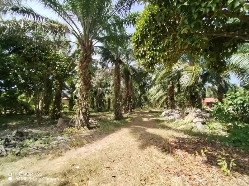 Agricultural Land for Sale in Sungai Rambai (Melaka) - Abdul Razak - Exterior - PropertyGuru.com.my