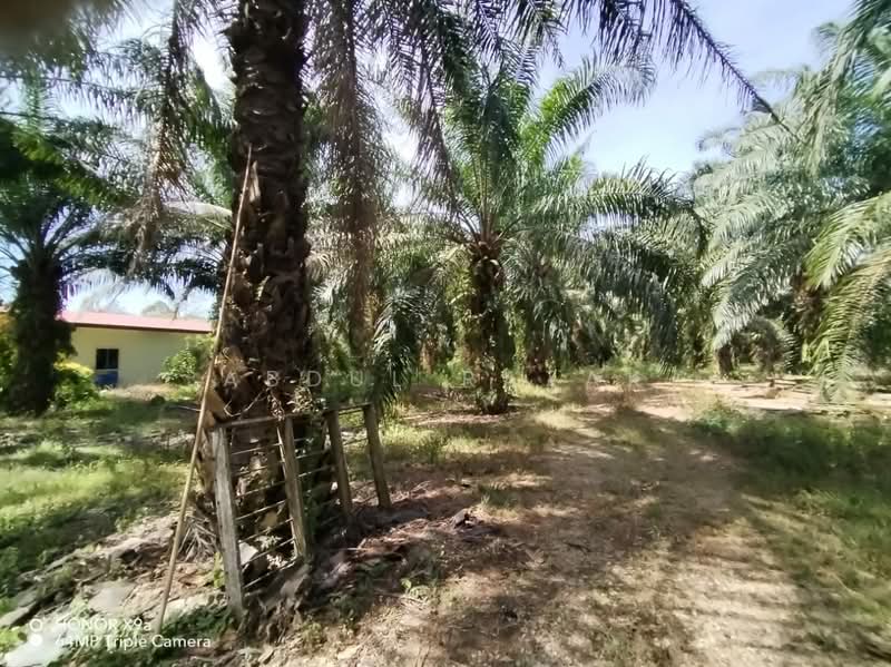Agricultural Land for Sale in Sungai Rambai (Melaka) - Abdul Razak - Exterior - PropertyGuru.com.my