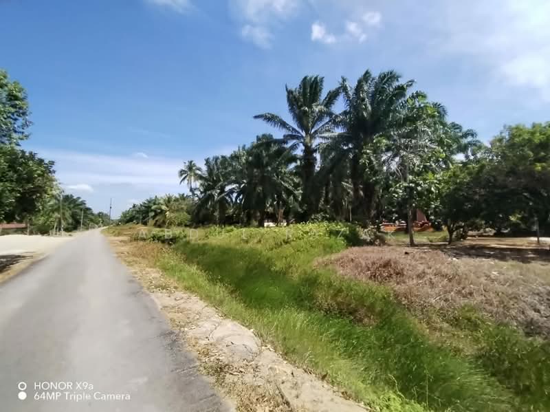 Agricultural Land for Sale in Sungai Rambai (Melaka) - Abdul Razak - Exterior - PropertyGuru.com.my
