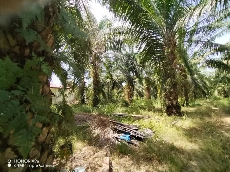 Agricultural Land for Sale in Sungai Rambai (Melaka) - Abdul Razak - Exterior - PropertyGuru.com.my