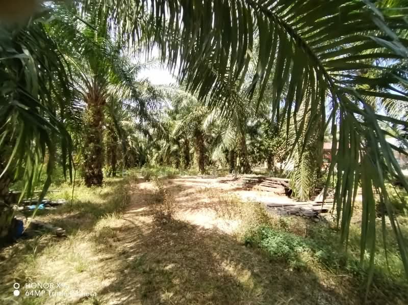 Agricultural Land for Sale in Sungai Rambai (Melaka) - Abdul Razak - Garden - PropertyGuru.com.my