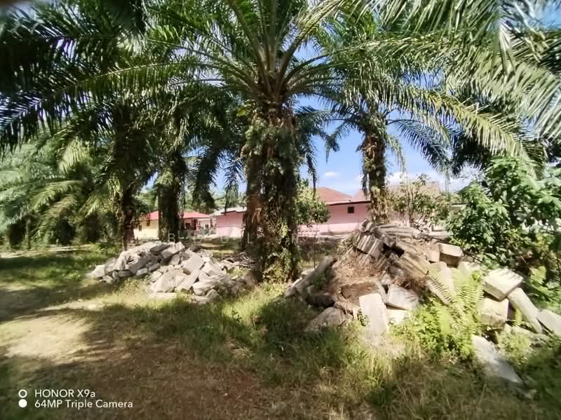 Agricultural Land for Sale in Sungai Rambai (Melaka) - Abdul Razak - Exterior - PropertyGuru.com.my