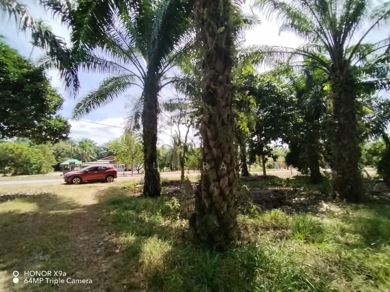 Agricultural Land for Sale in Sungai Rambai (Melaka) - Abdul Razak - Exterior - PropertyGuru.com.my