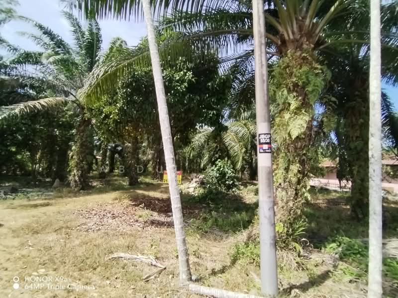 Agricultural Land for Sale in Sungai Rambai (Melaka) - Abdul Razak - Exterior - PropertyGuru.com.my