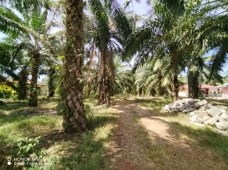 Agricultural Land for Sale in Sungai Rambai (Melaka) - Abdul Razak - Exterior - PropertyGuru.com.my