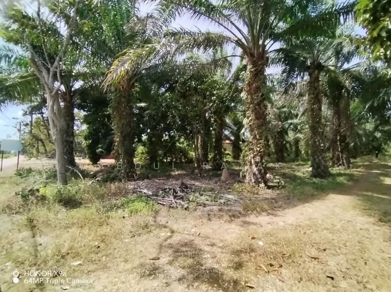 Agricultural Land for Sale in Sungai Rambai (Melaka) - Abdul Razak - Exterior - PropertyGuru.com.my