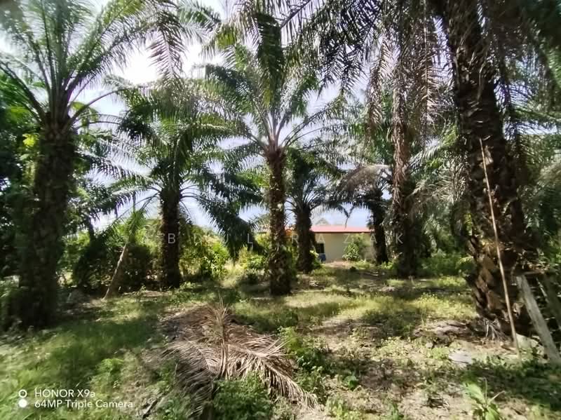 Agricultural Land for Sale in Sungai Rambai (Melaka) - Abdul Razak - Exterior - PropertyGuru.com.my