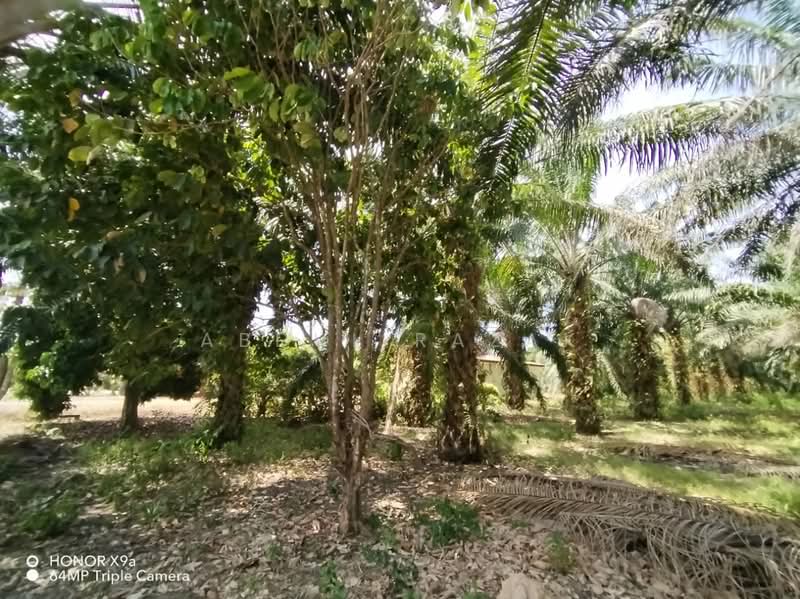 Agricultural Land for Sale in Sungai Rambai (Melaka) - Abdul Razak - Exterior - PropertyGuru.com.my