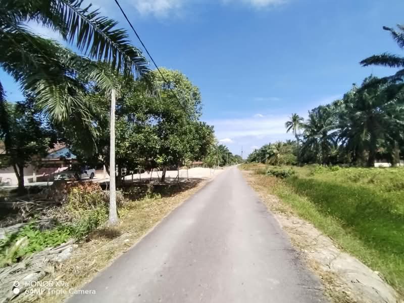 Agricultural Land for Sale in Sungai Rambai (Melaka) - Abdul Razak - Exterior - PropertyGuru.com.my