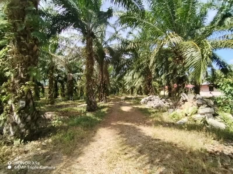 Agricultural Land for Sale in Sungai Rambai (Melaka) - Abdul Razak - Exterior - PropertyGuru.com.my