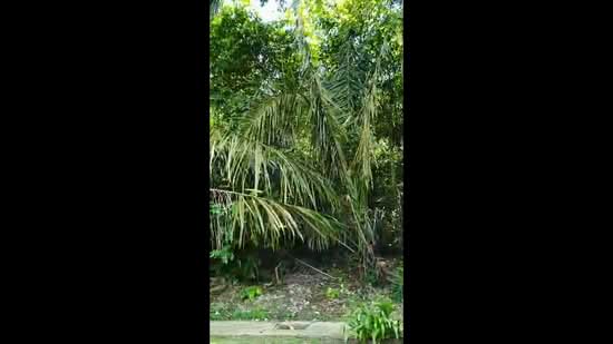 Residential Land for Sale in Damansara Heights (Kuala Lumpur) - Saravana Kumar Krishnasamy - PropertyGuru.com.my