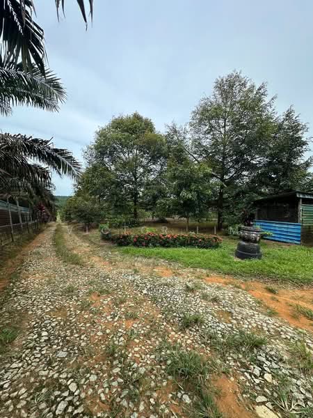 Sedenak 5 Acres Land untuk Untuk Dijual - RM 2,180,000, Mac 2026 - PropertyGuru.com.my