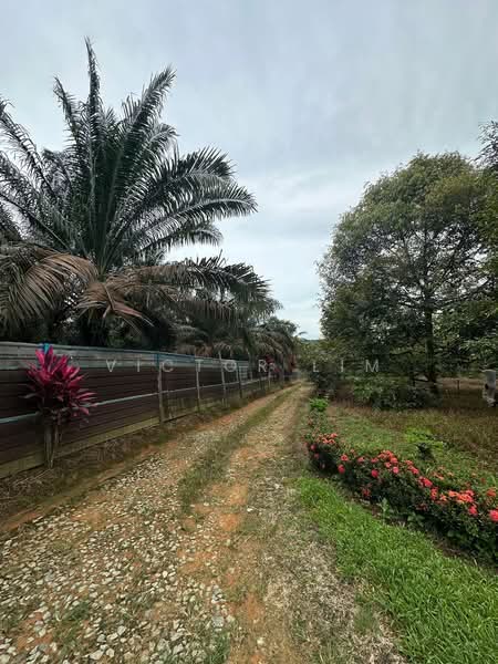 Sedenak 5 Acres Land untuk Untuk Dijual - RM 2,180,000, Mac 2026 - PropertyGuru.com.my