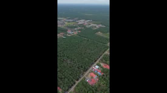 Agricultural Land for Sale in Taman Sri Gading (Batu Pahat) - Sarah Yusof - PropertyGuru.com.my